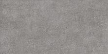 Керамическая плитка Alma Ceramica Дискавер TWU2550DCV70 серый 24.9x50