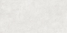 Керамическая плитка Alma Ceramica Дискавер TWU2550DCV04 серый 24.9x50