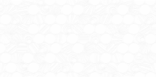 Керамическая плитка Alma Ceramica Болле TWU09BOL000 белый 24.9x54.9